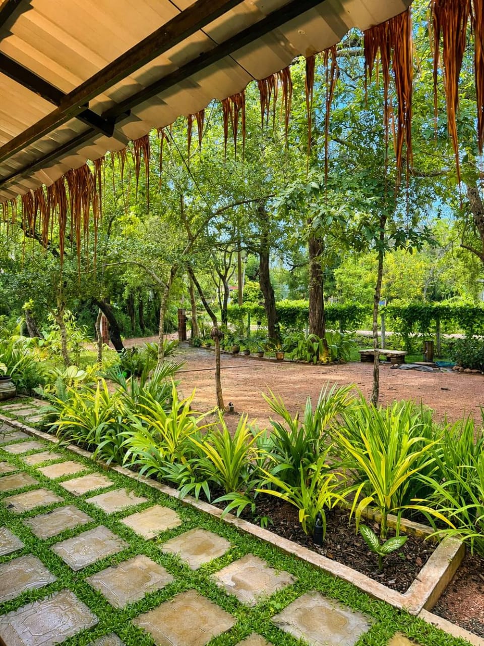 Myla Lodge Hotel in Sri Lanka