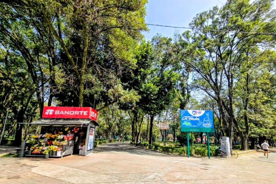 Suite Amarilla Amplia, Iluminada Hasta 6 viajeros House in Mexico City