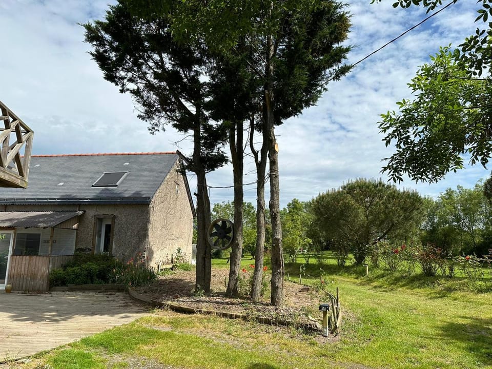 Garden, Garden view