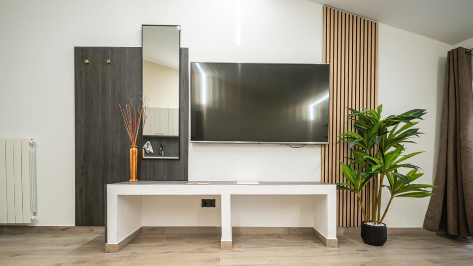 TV and multimedia