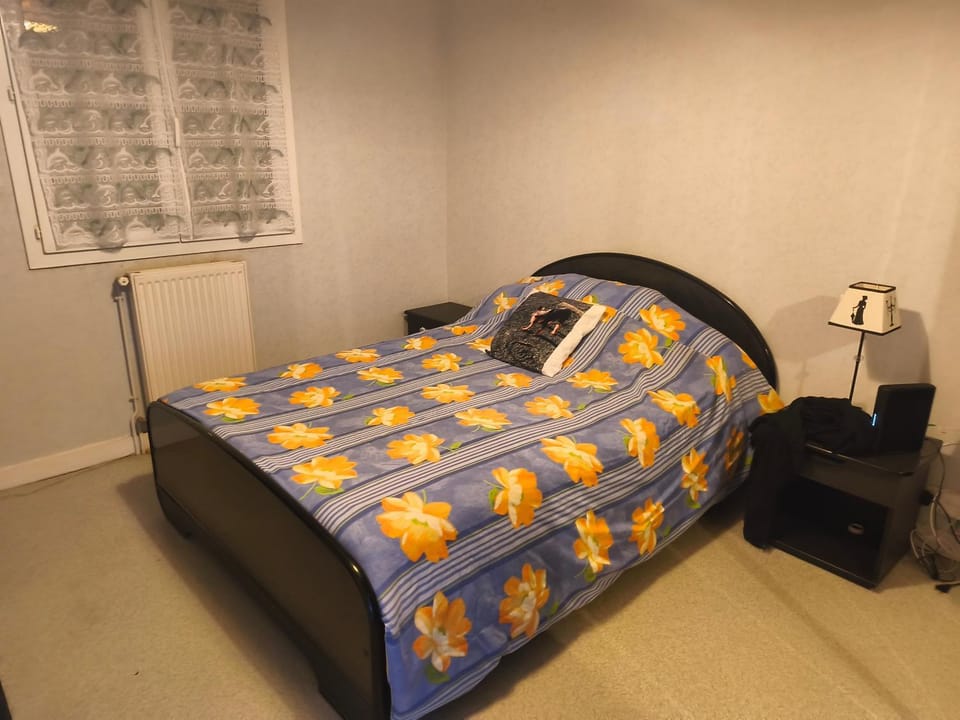 Bed, Photo of the whole room, Bedroom, internet