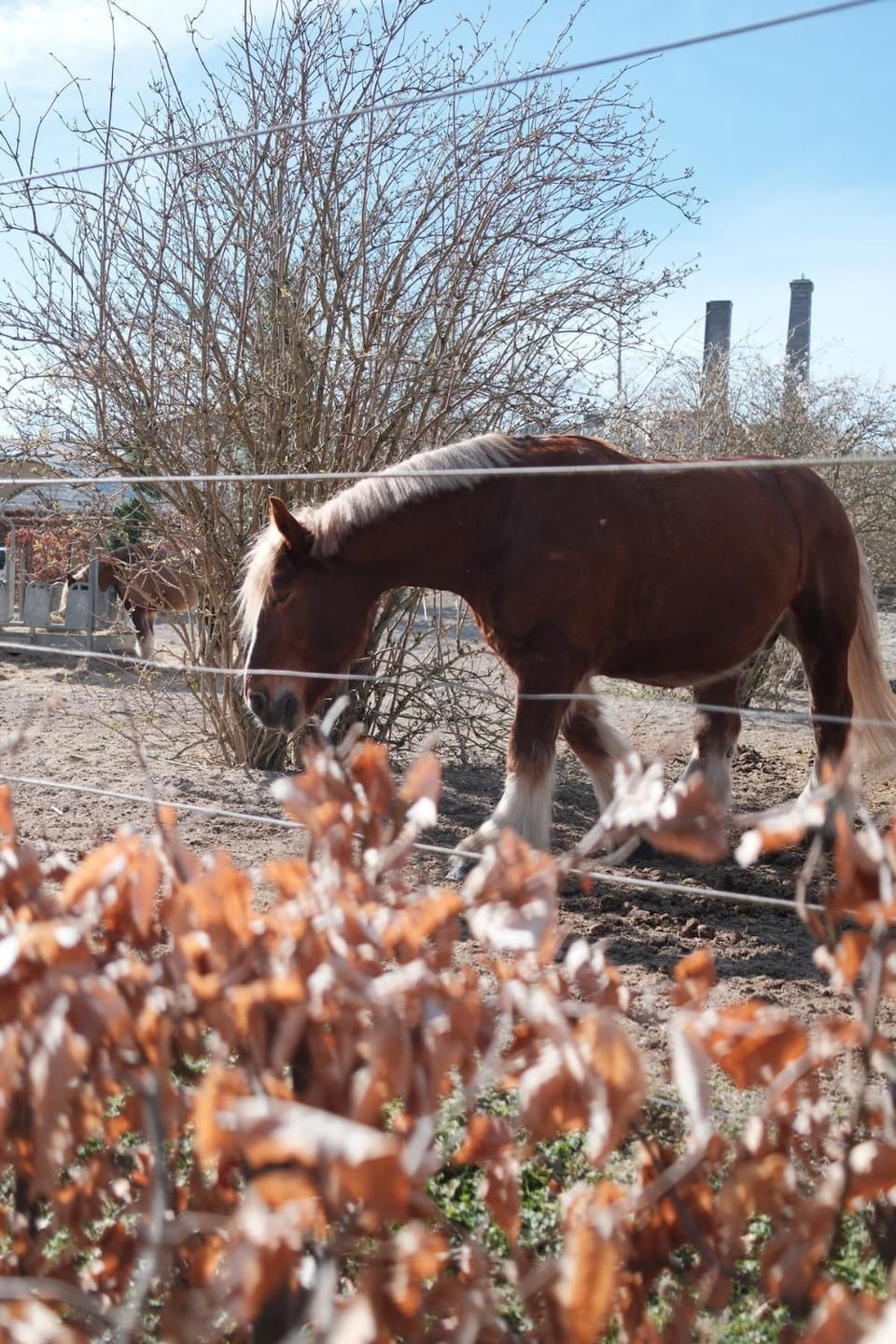 Bohemian Luxury in Carlsberg City - 2 bedrooms Apartment in Copenhagen