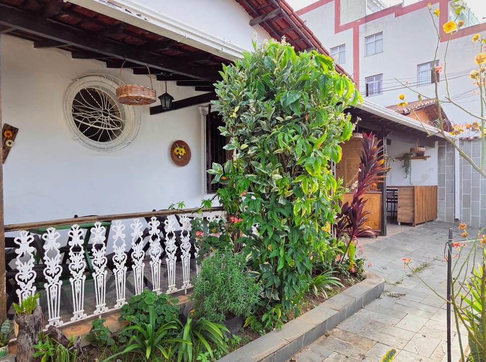 Property building, Garden, Garden view