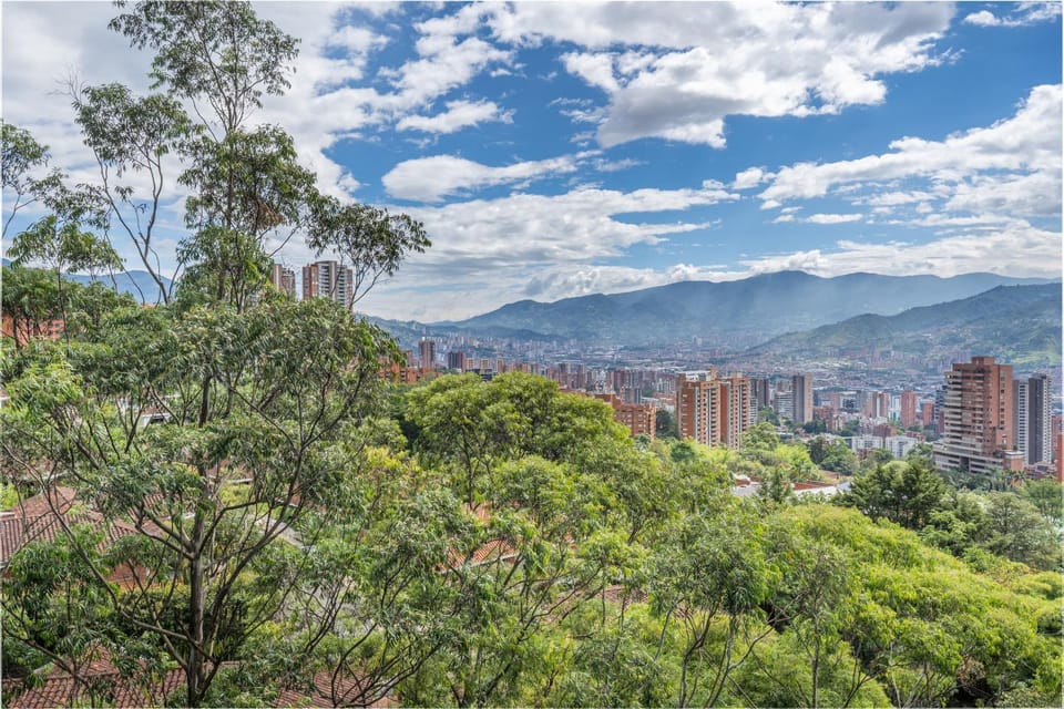 Day, City view, Mountain view