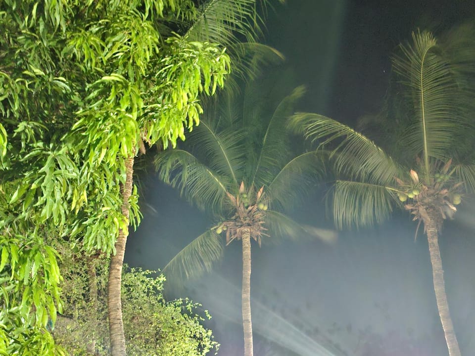 Natural landscape, Garden view
