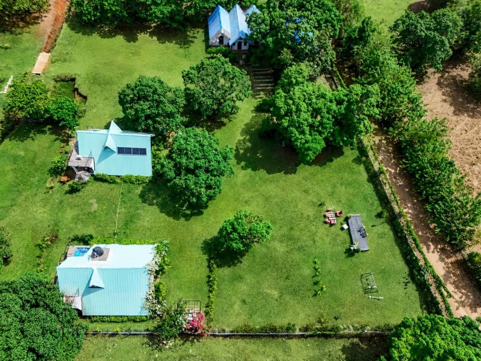 Day, Natural landscape, Bird's eye view, Garden, Garden view
