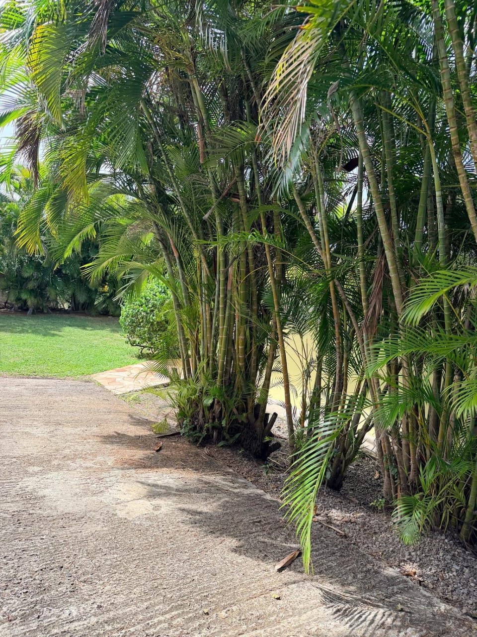 Day, Natural landscape, Garden, Garden view