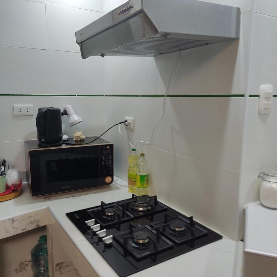 La Palmera Apartment Apartment in Lima Province, Peru