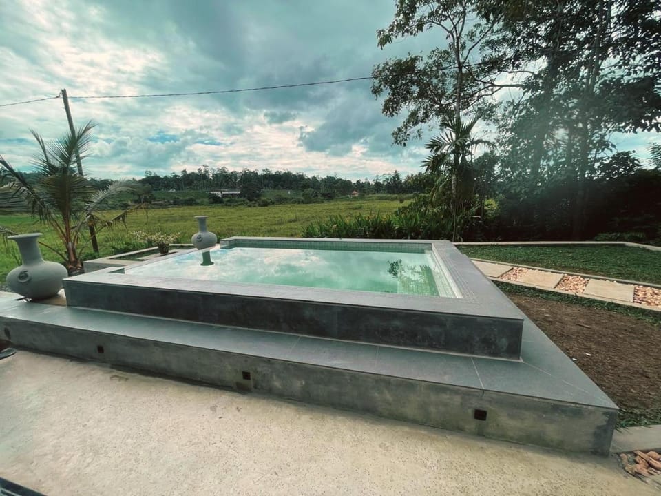 Garden view, Pool view, Swimming pool, Swimming pool