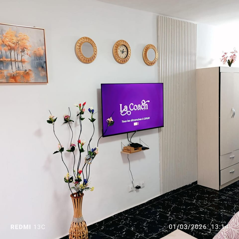 TV and multimedia