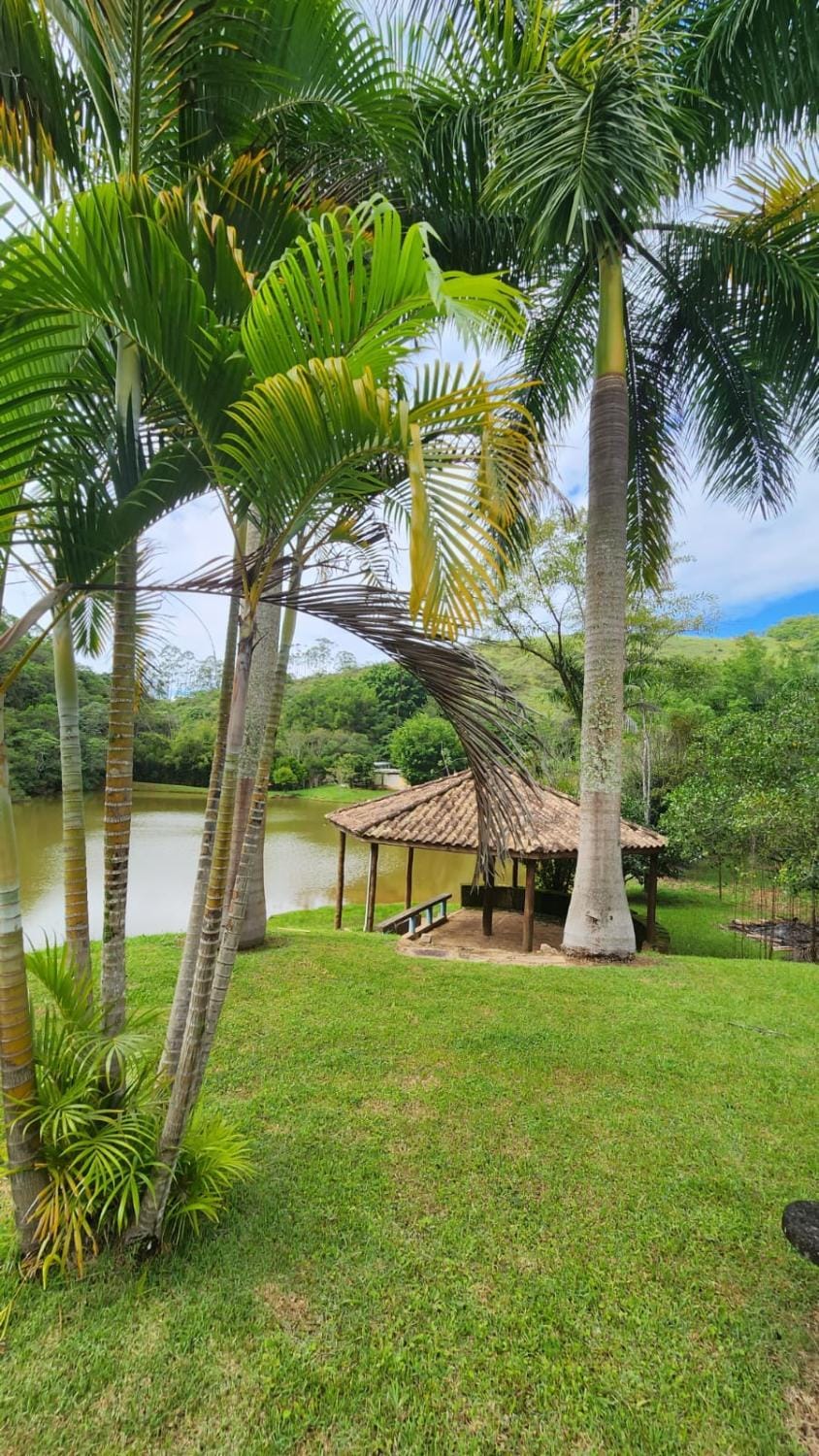 Natural landscape, Garden, Garden view, Lake view