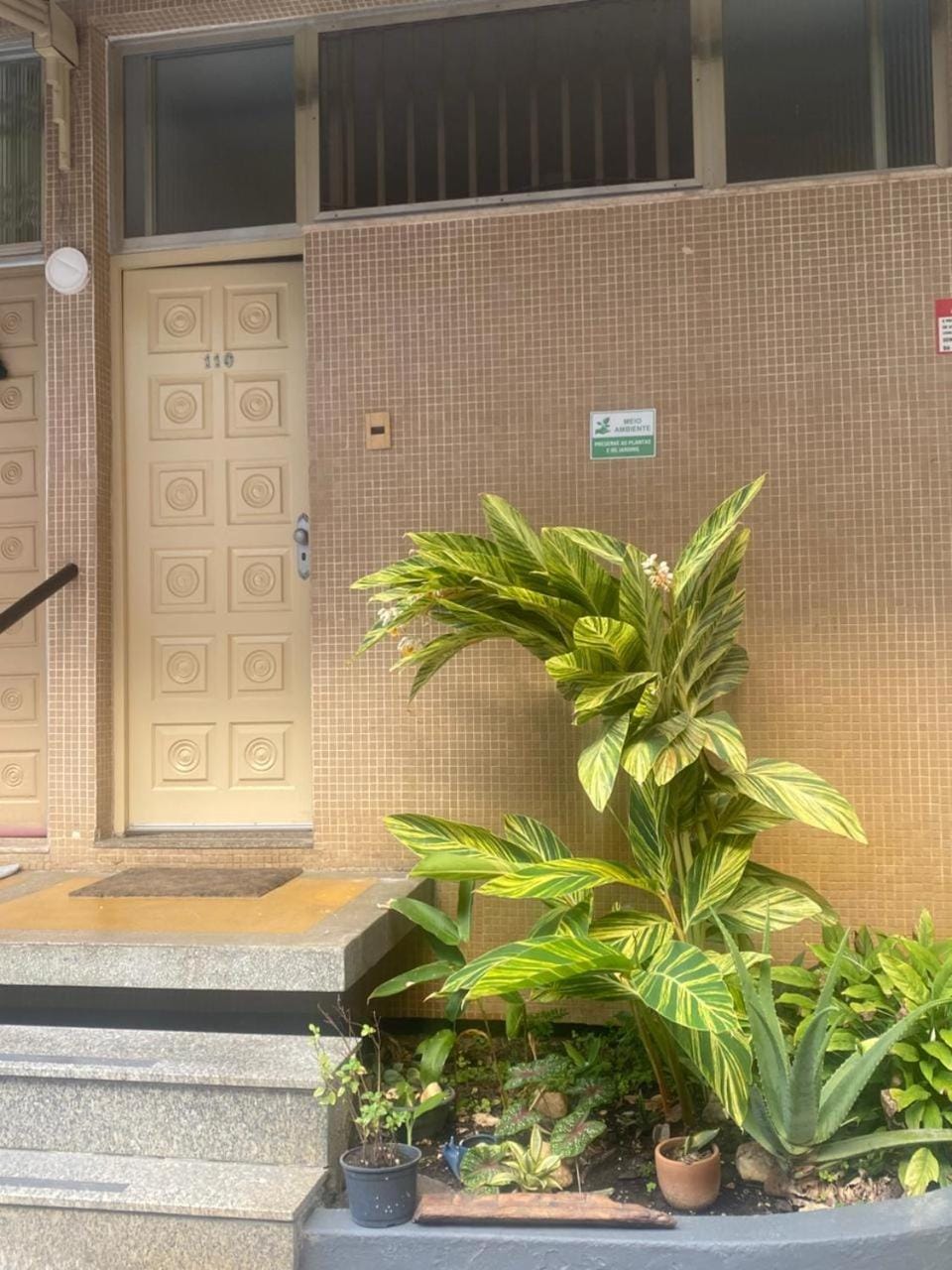 Facade/entrance, Garden, Garden view