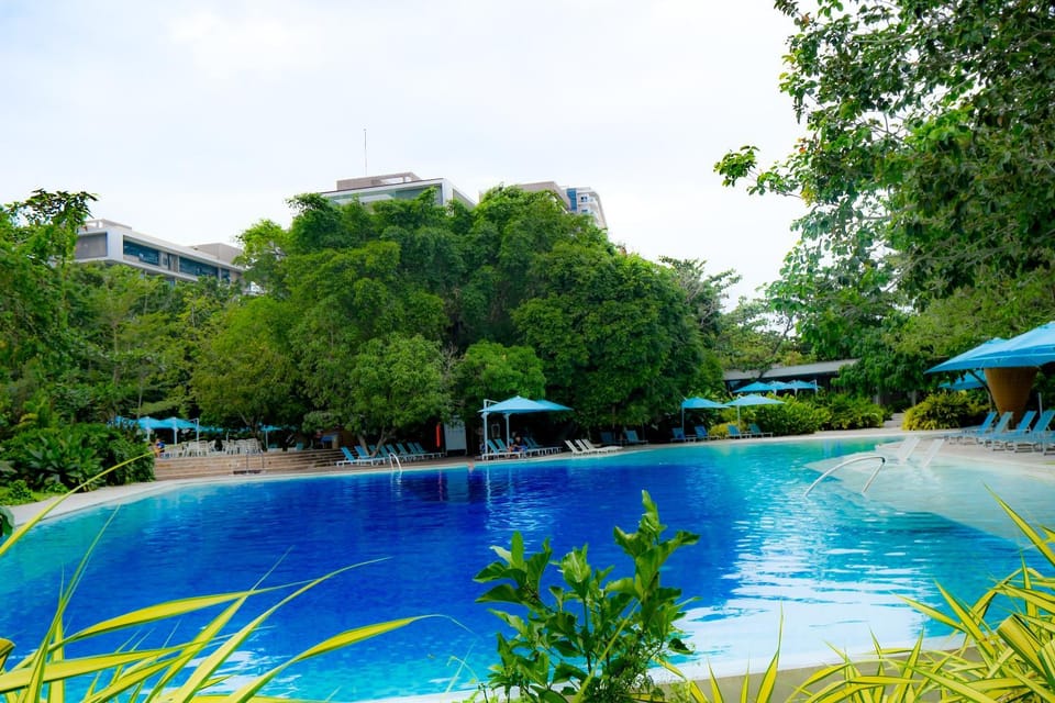 Pool view, Swimming pool