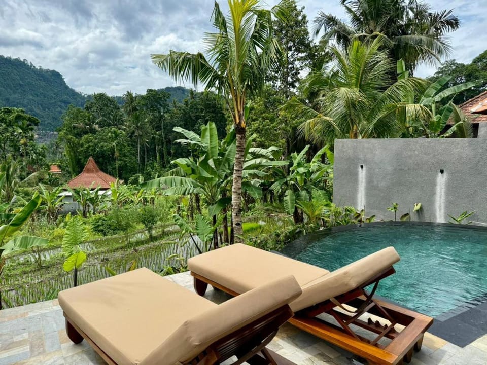 Natural landscape, Pool view, sunbed