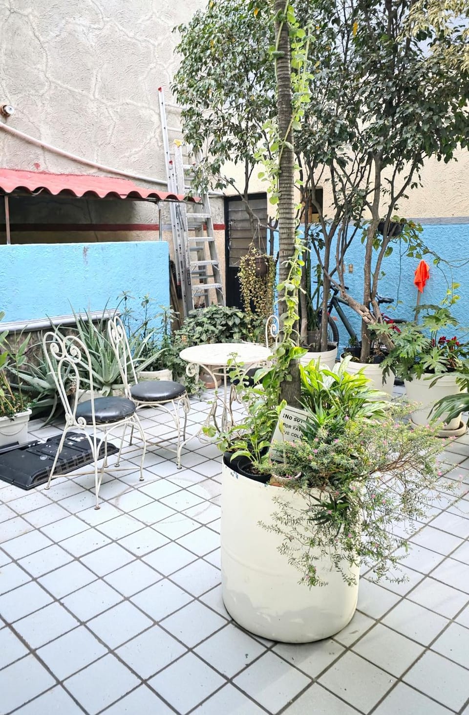 El Pino - Hotel Economico Guadalajara Hotel in Guadalajara