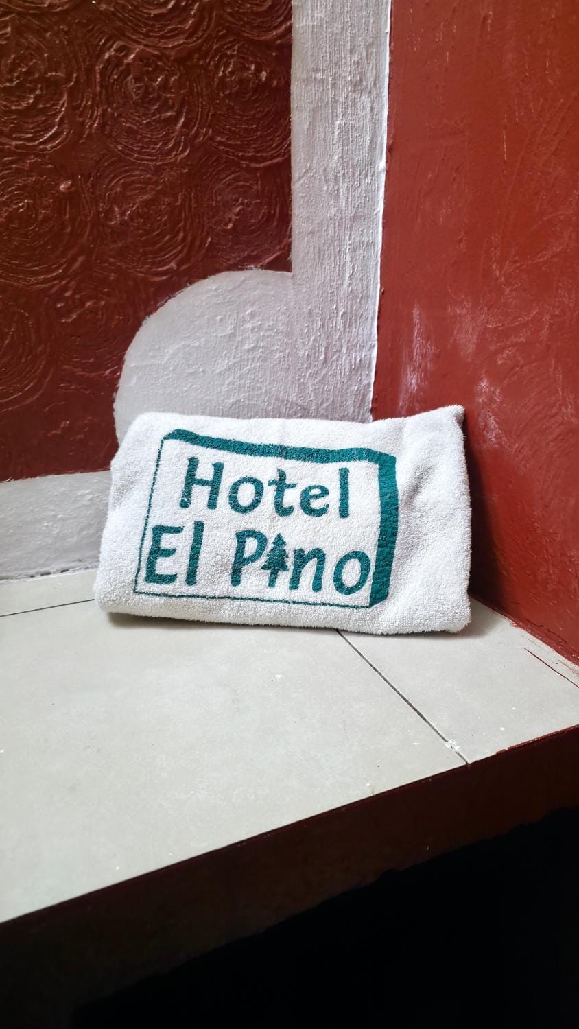 El Pino - Hotel Economico Guadalajara Hotel in Guadalajara