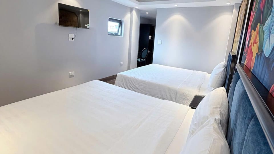 Bed, TV and multimedia