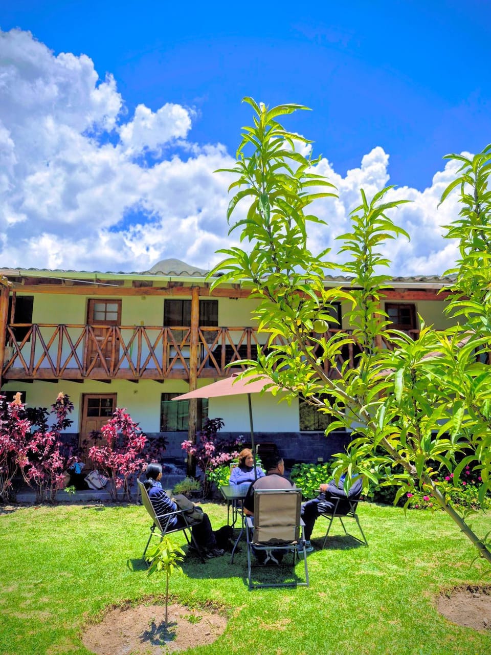Garden, View (from property/room), Guests, Garden view
