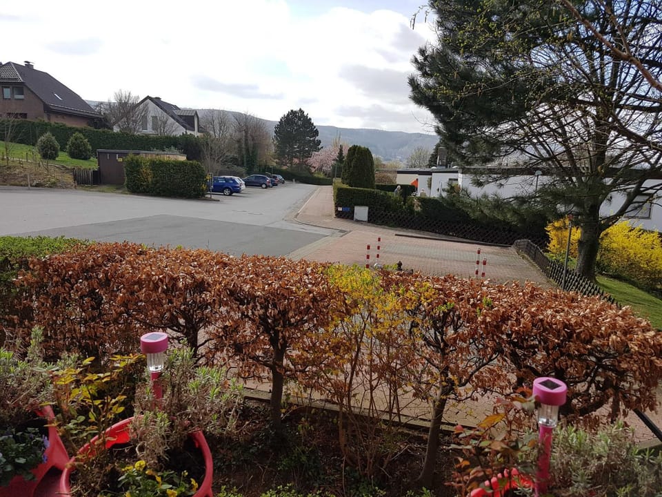 View (from property/room)
