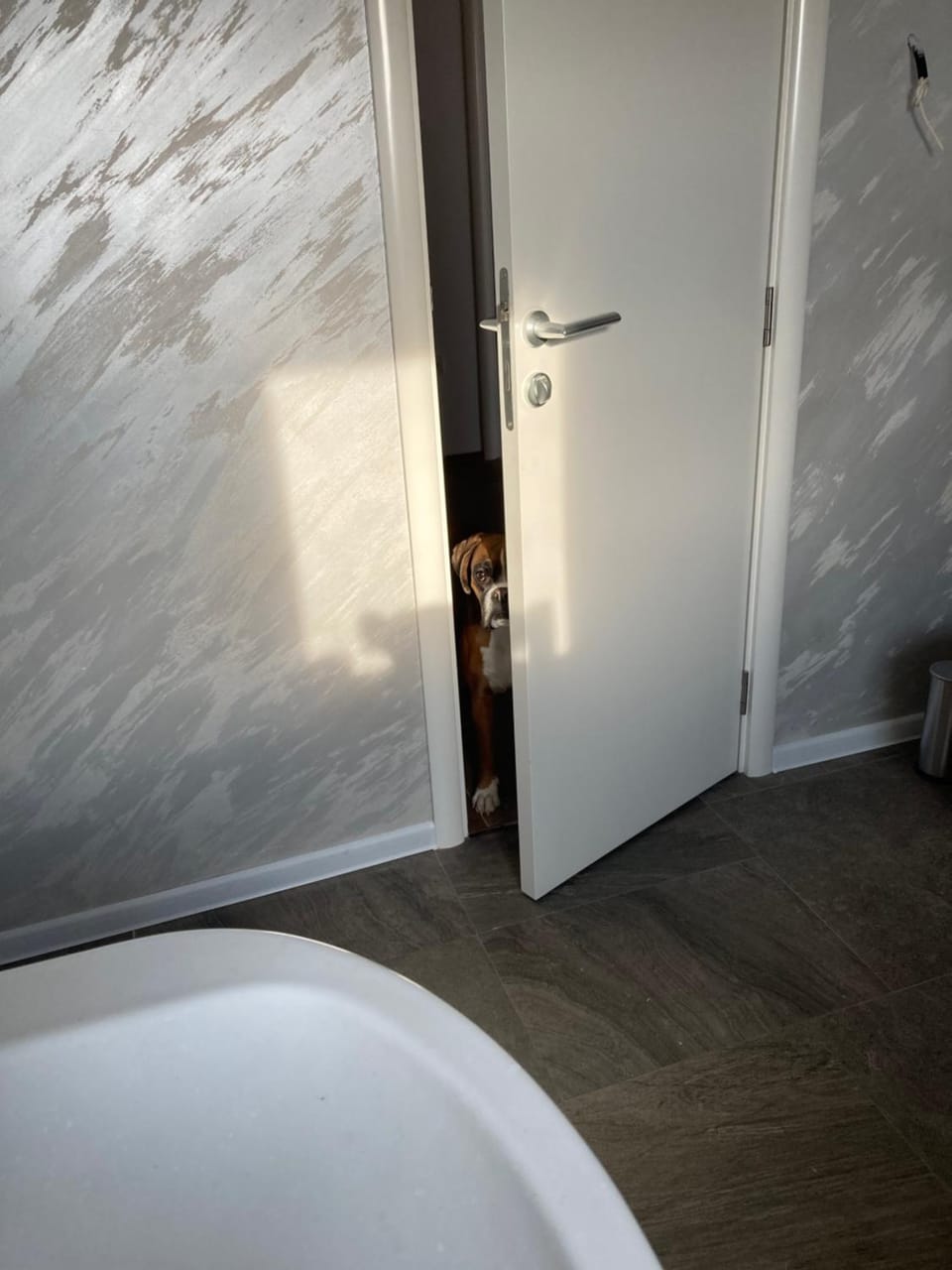 Vranjes apartman Apartment in Belgrade