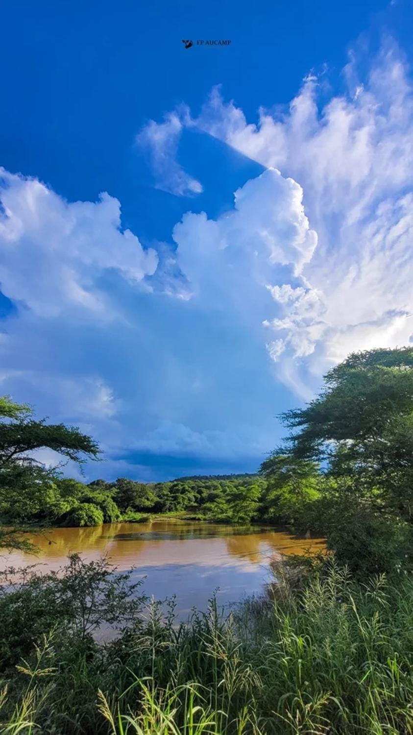 Natural landscape