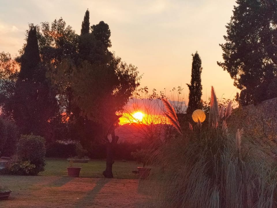 Garden, Sunset