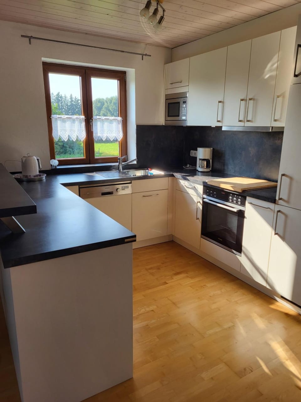 Kitchen or kitchenette, dishwasher, stove