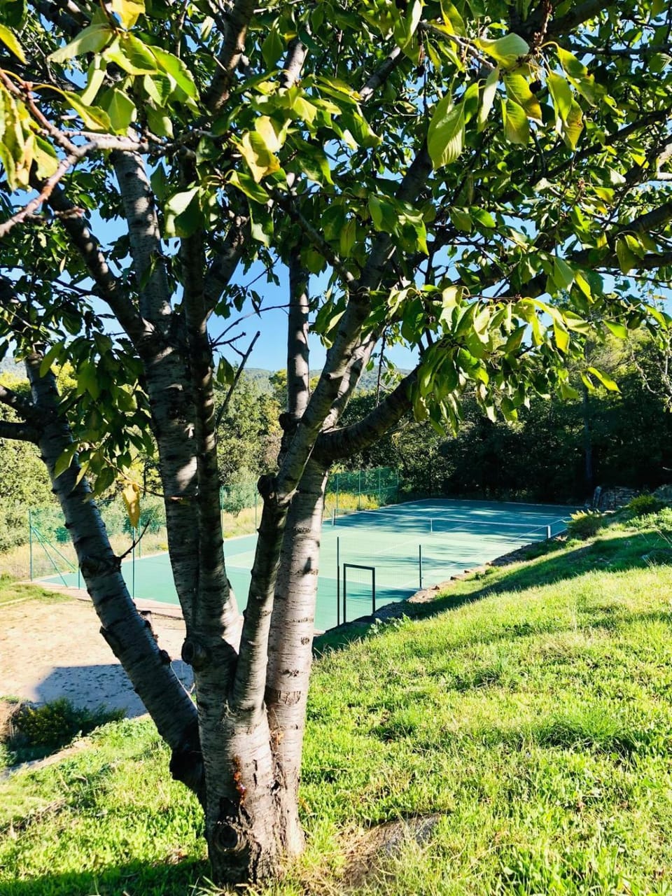 Garden, Tennis court