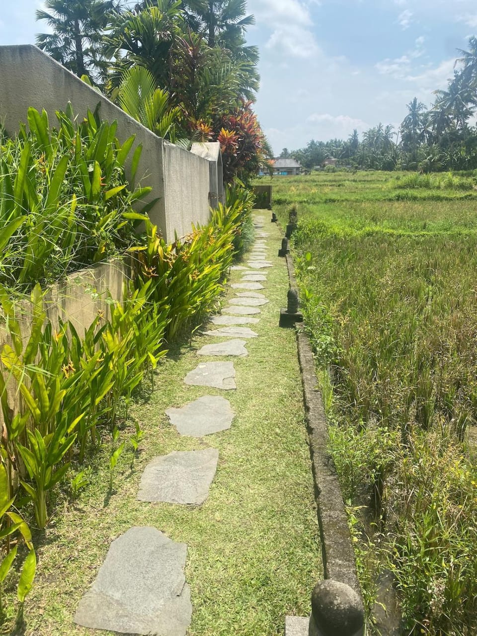Modern Style - Ubud - 2 bedrooms - Private Pool Villa in Ubud