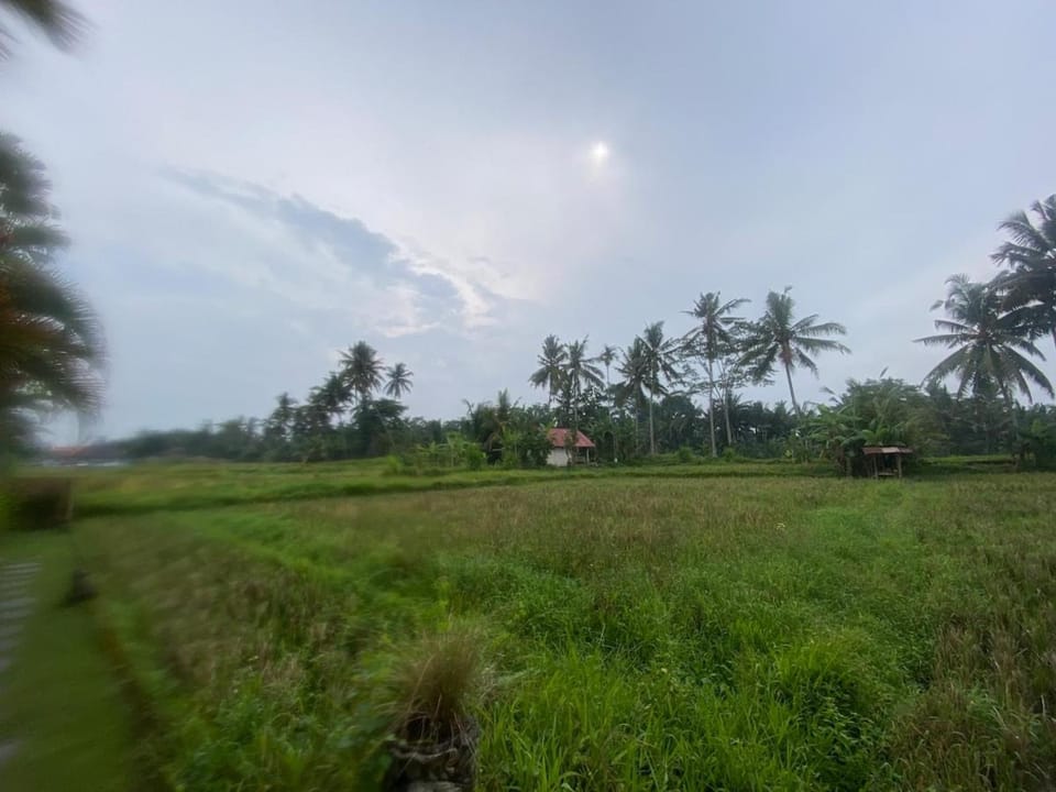 Modern Style - Ubud - 2 bedrooms - Private Pool Villa in Ubud