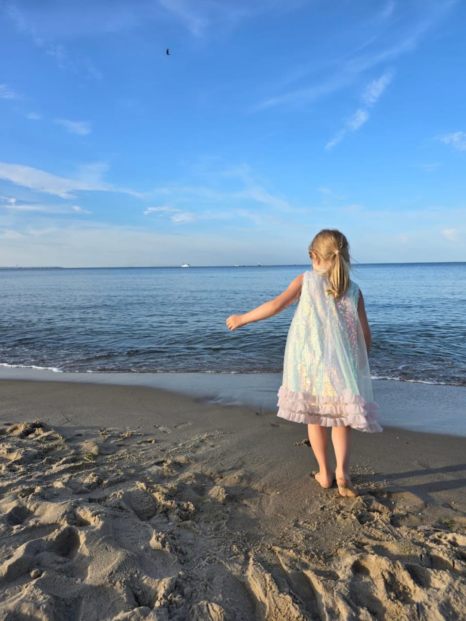Day, People, Summer, Beach, Guests, children
