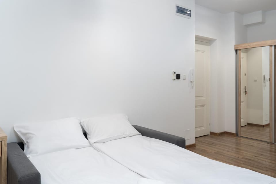 Bed, Photo of the whole room, Bedroom, wardrobe, air conditioner