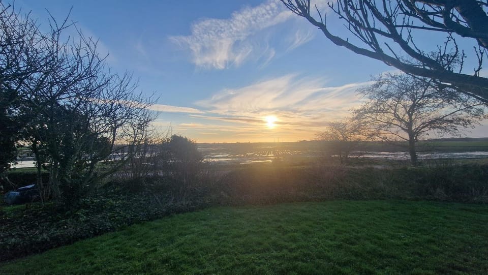 Day, Garden, Sunset