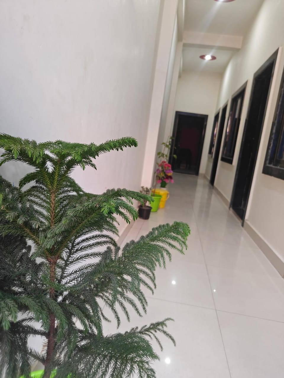 Krishna home stay 700 meter away from Ram mandir Vacation rental in Nepal