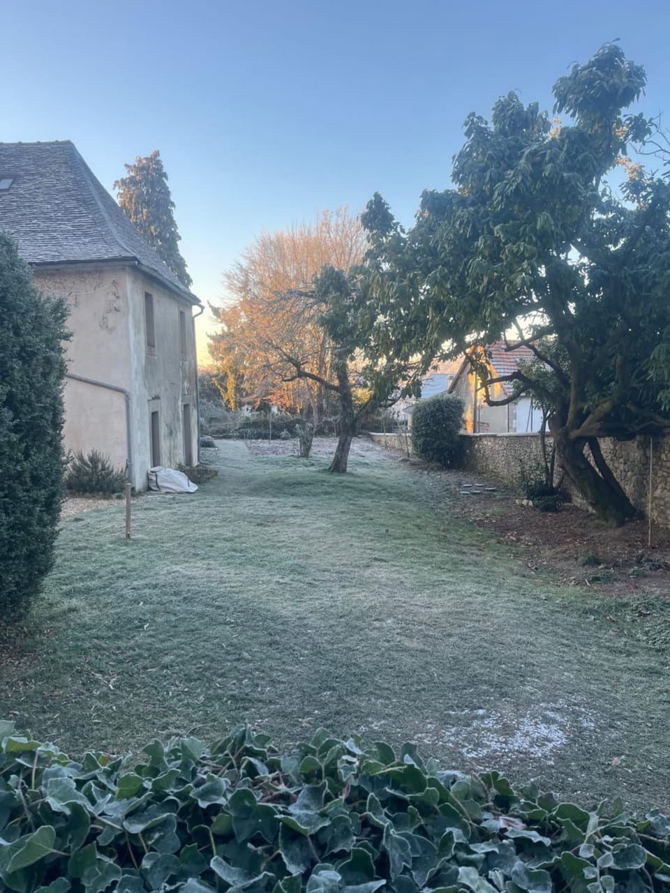 Winter