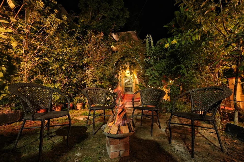 Night, Garden