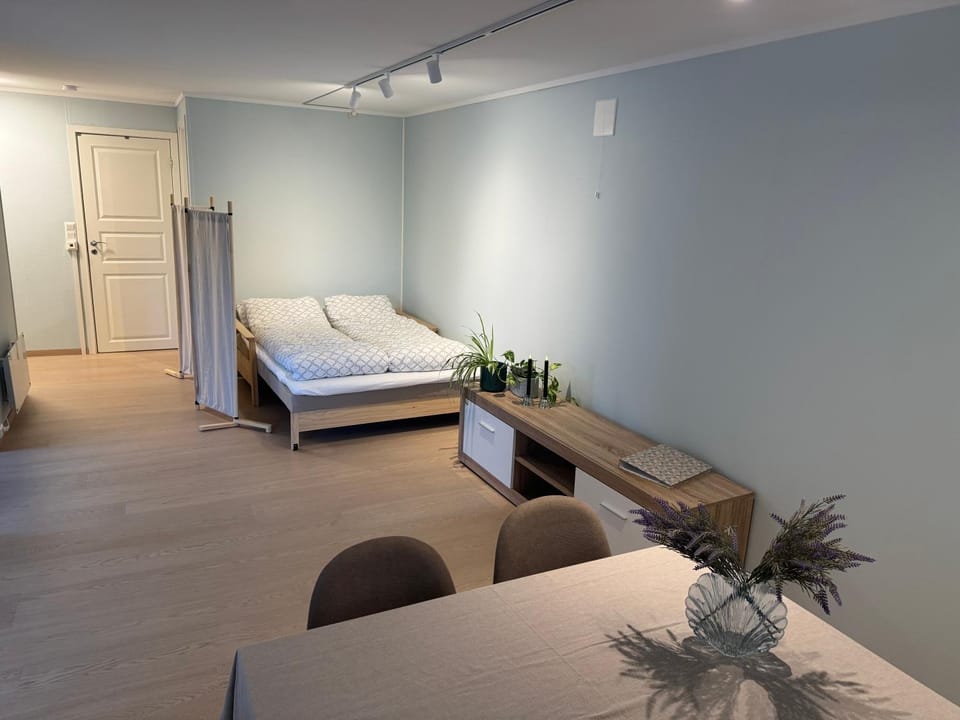 Arctic aurora apartment Apartment in Tromso