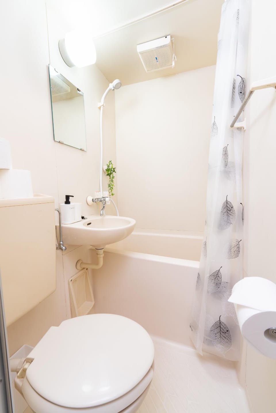 Toilet, Bathroom, Bath
