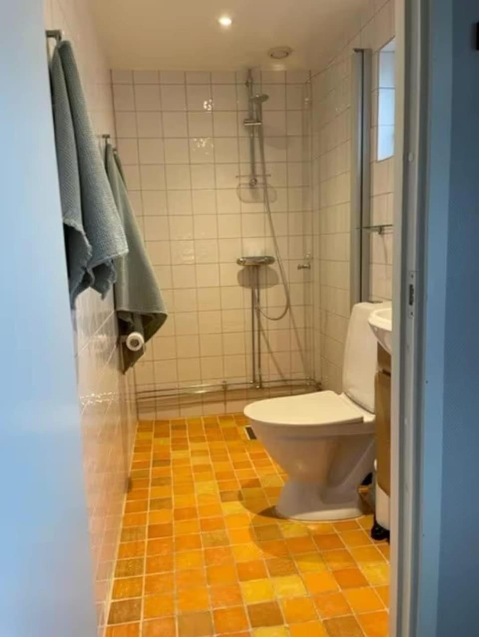 Shower, Toilet