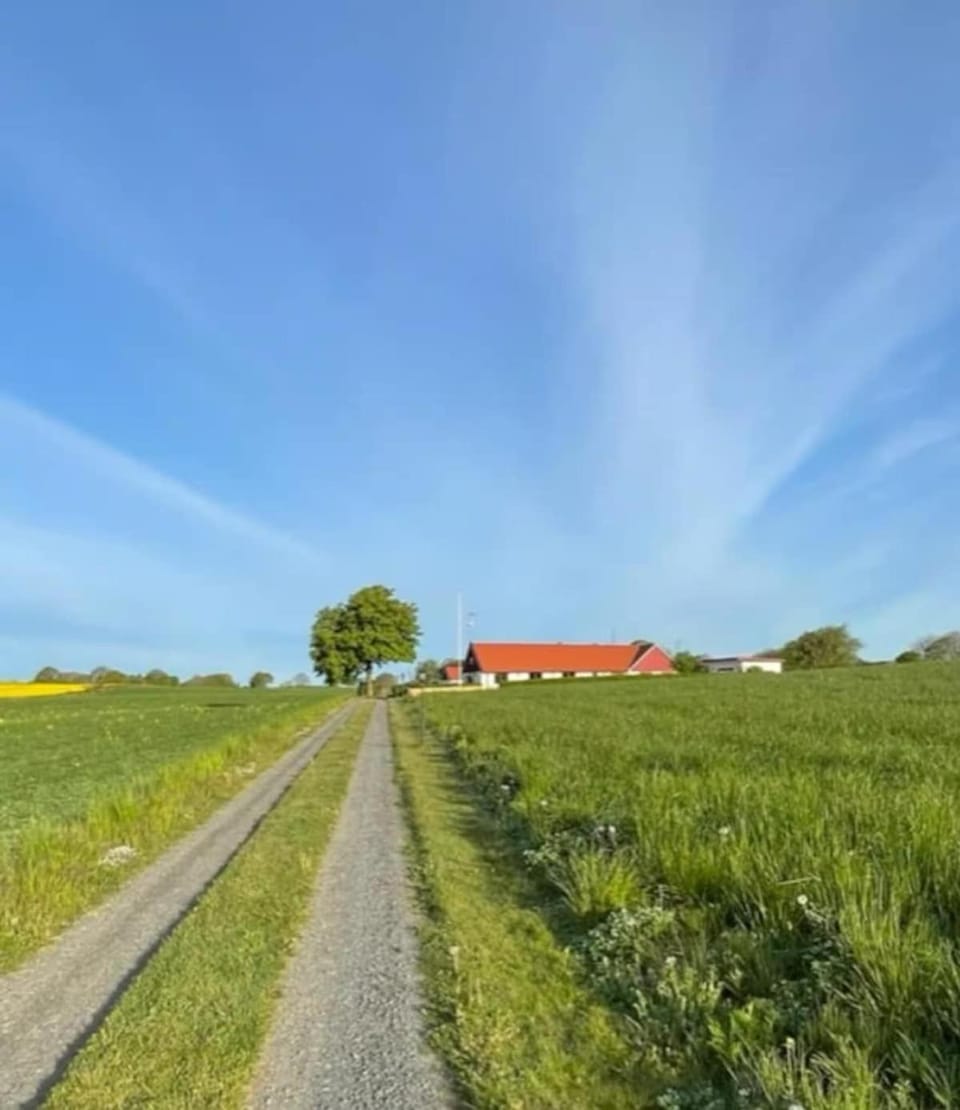 Natural landscape