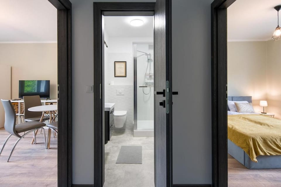Spacious oasis in the center Apartment in Krakow