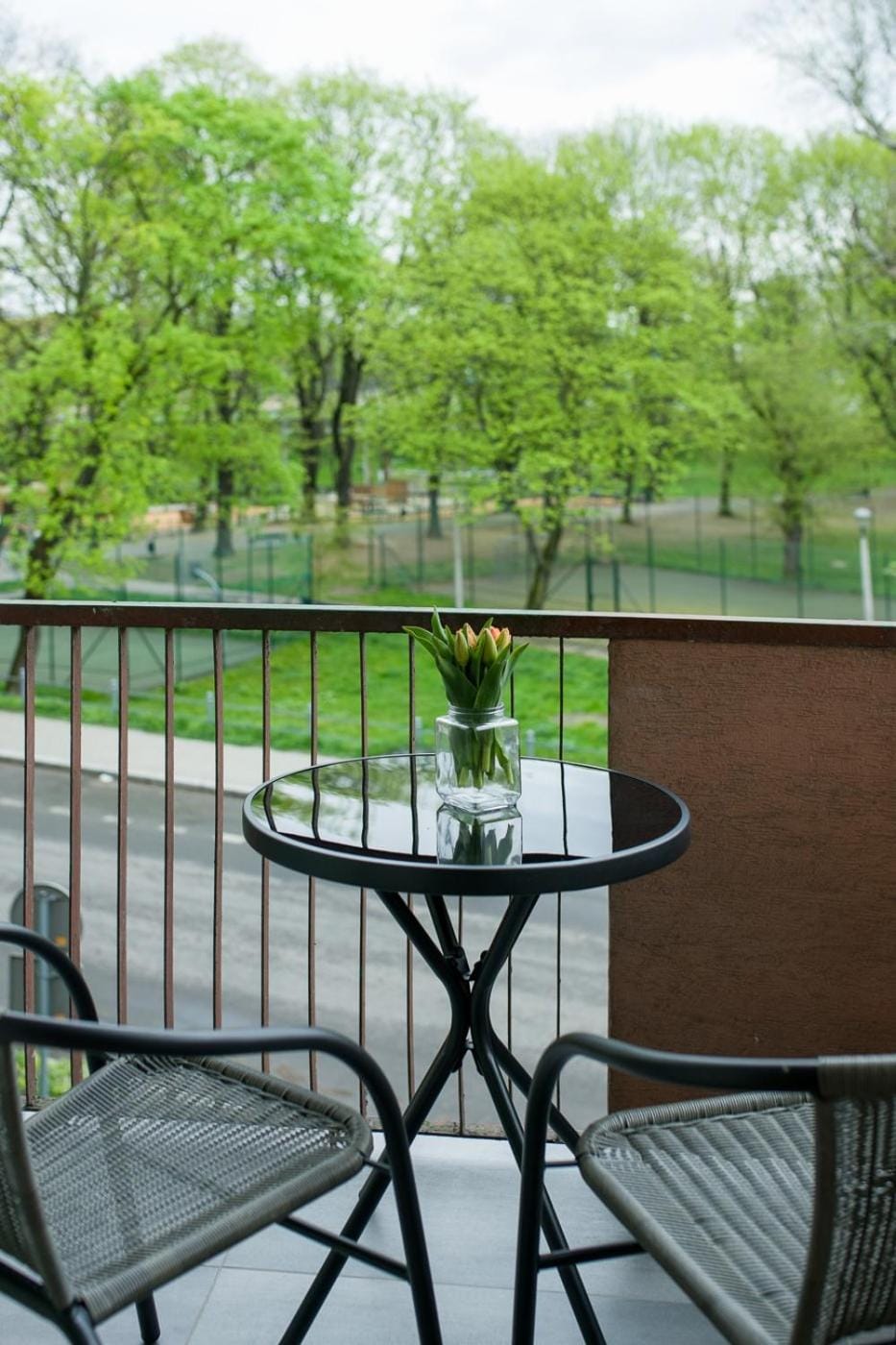 Spacious oasis in the center Apartment in Krakow