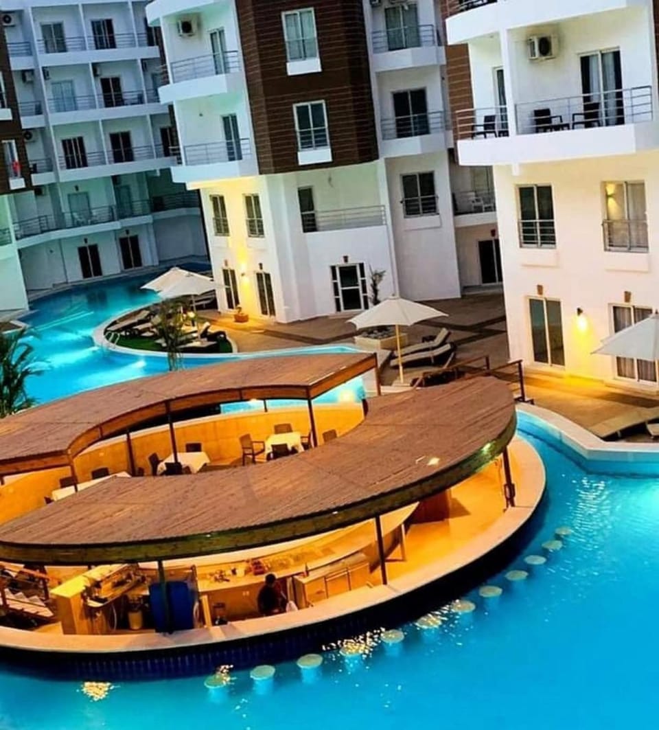 Lounge or bar