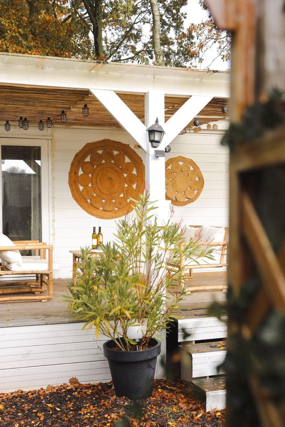Cabin JUNE - Veluwe Hideaway met sauna Cabin in Putten