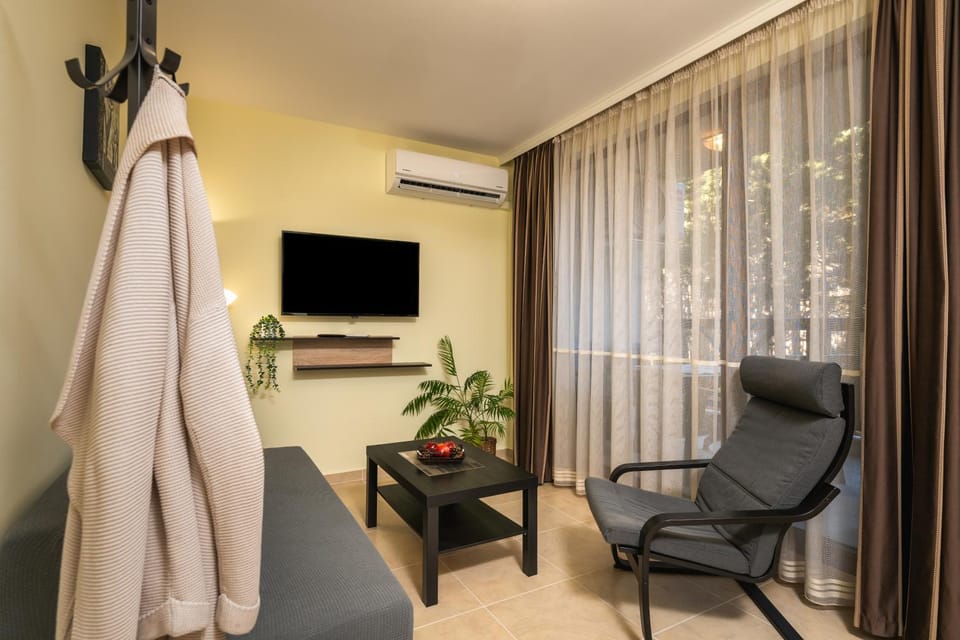 Communal lounge/ TV room, TV and multimedia, Living room, air conditioner