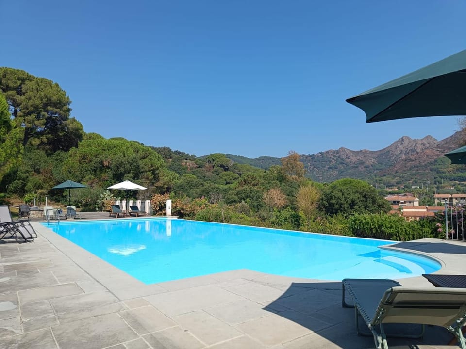 Pool view, Swimming pool, sunbed