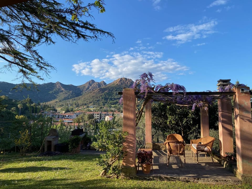 Patio, Natural landscape, Garden, Garden view
