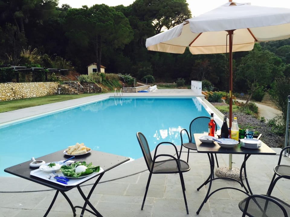 Garden, Garden view, Pool view, Swimming pool, sunbed