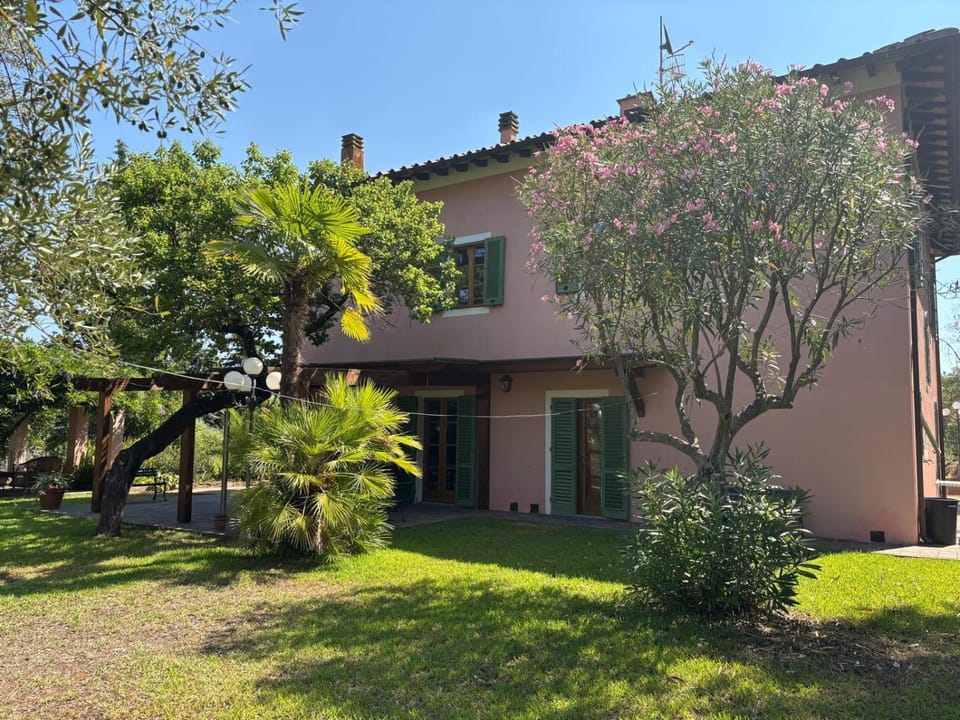 Property building, Garden, Garden view