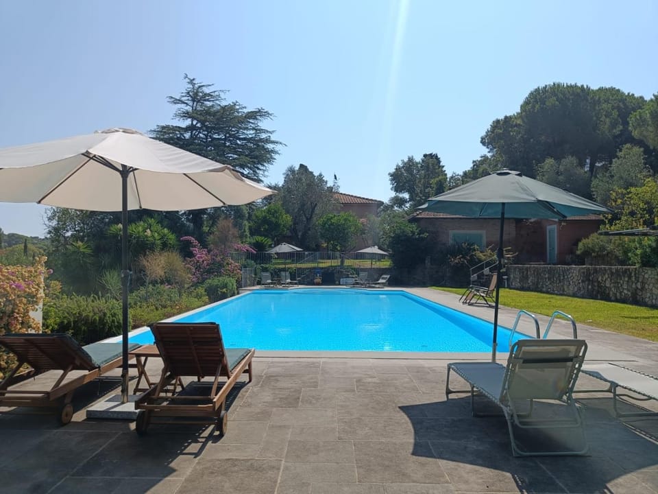 Garden, Swimming pool, sunbed